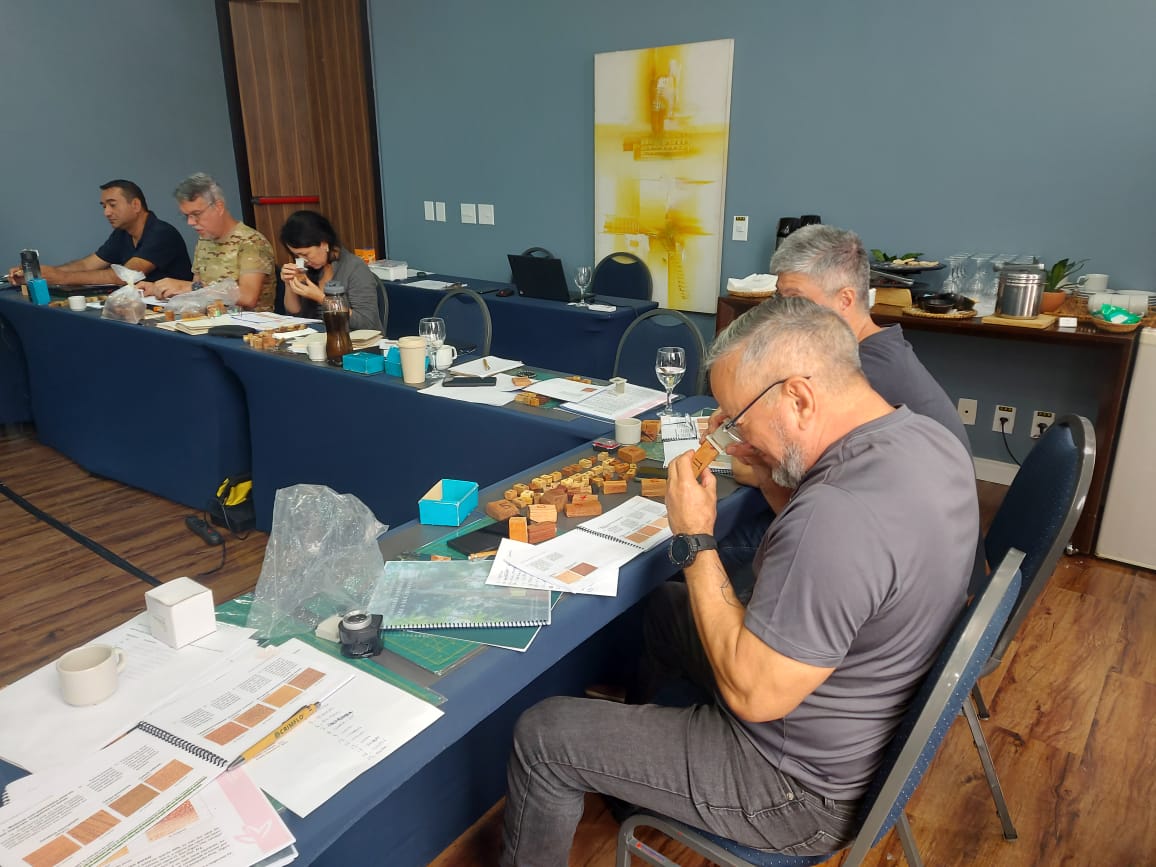 Participantes de uma capacitação do Ipaam examinam amostras de madeira com lupas e materiais didáticos.